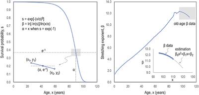 Limits to lifespan growth